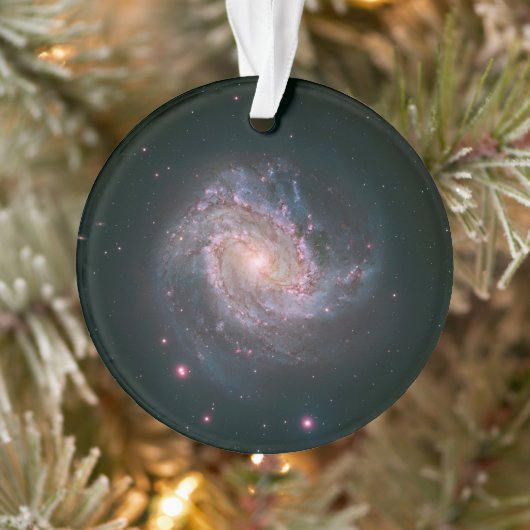 Verborgen spiraal Galaxy Messier 83. 2 Ornament (Boom)