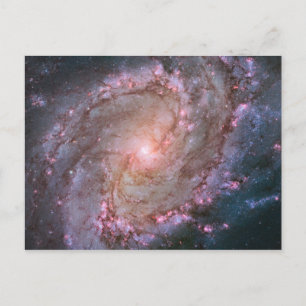 Verborgen spiraal Galaxy Messier 83. Briefkaart