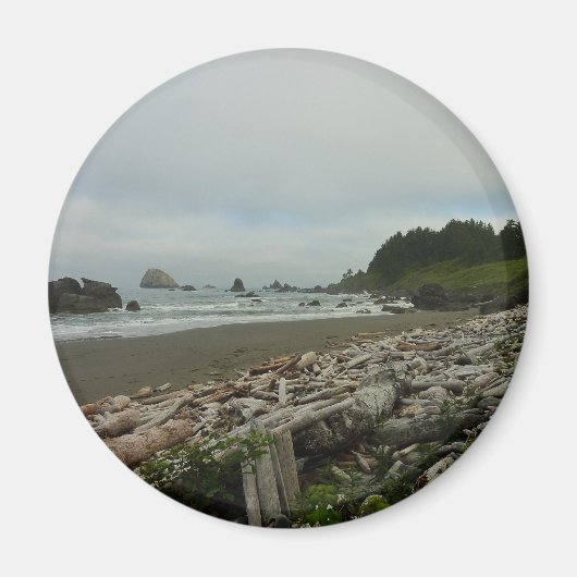 Verborgen strand I in Redwood National Park Magneet (Voorkant)