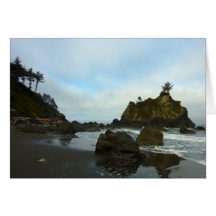 Verborgen strand II in Redwood National Park