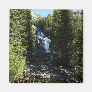 Verborgen Waterval in Grand Teton National Park Magneet