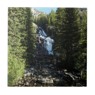 Verborgen Waterval in Grand Teton National Park Tegeltje
