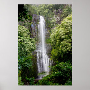 Verborgen waterval poster