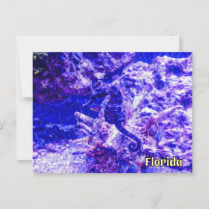 Verborgen Zeepaard Kunst in Paars en Blauw Florida Briefkaart