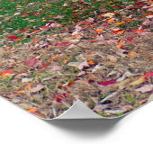 Verbrandend Struik Poster (Hoek)