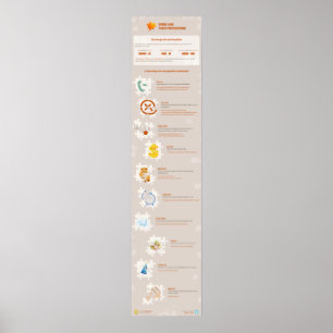 Verbs en hun functies poster