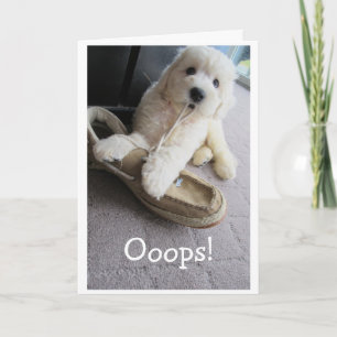 Verdachten van Birthday, Cute Goldendoodle pup Hum Kaart
