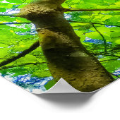 Verdant Canopy of Karuizawa Poster (Hoek)