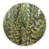 Verdant Sentinels: De stekelige majesteit van Cact Keramische Knop (Voorkant)
