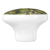 Verdant Sentinels: De stekelige majesteit van Cact Keramische Knop (Zijkant)