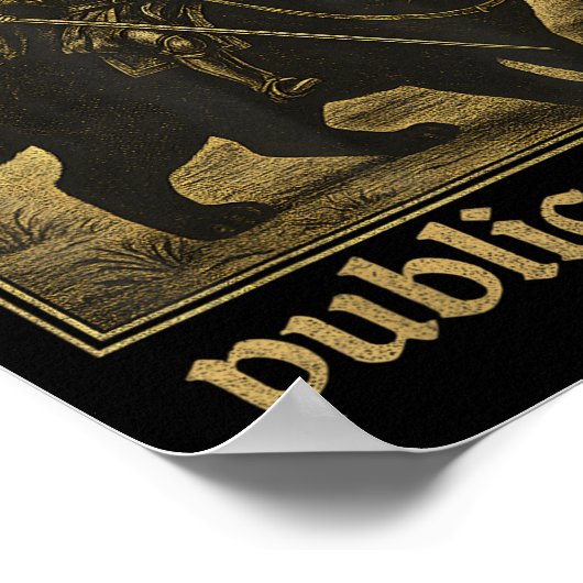 Verdedig uw lokale openbare bibliotheek Cat Knight Poster (Hoek)