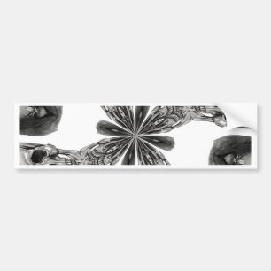 Verdeel en verover bumpersticker