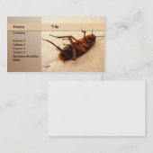 verdeler visitekaartje (Voorkant / Achterkant)