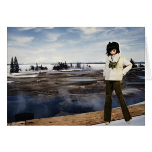 Verdi bij het geelsteenmeer, Yellowstone National 