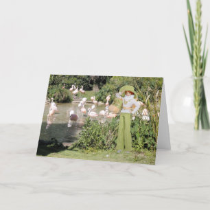 Verdi, Flamingo's bij de Dierentuin van Houston Kaart