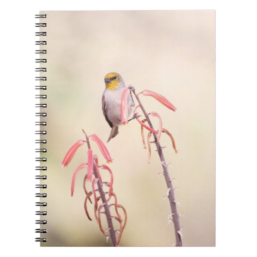 verdin met penstemon notitieboek (Voorkant)
