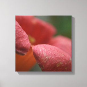 Verdoken kanvus sluit bloemen dicht canvas afdruk