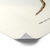 Verdomde boomkor door Elizabeth Gould Poster (Hoek)