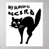 Verdomde kat poster (Voorkant)