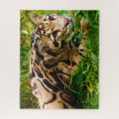 Verdomde Leopard Big Cat's. Legpuzzel (Verticaal)
