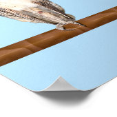 Verdomde uilen poster (Hoek)