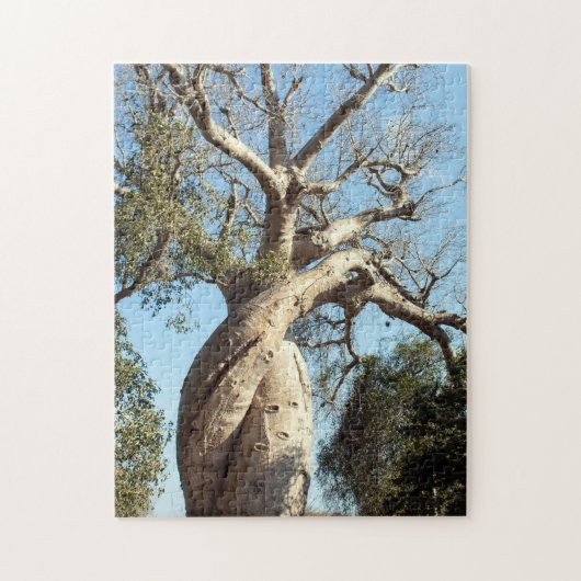 Verdraaide baobab-boom, Madagaskar Legpuzzel (Verticaal)