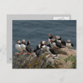 Verdrag van Puffin Briefkaart (Voorkant / Achterkant)