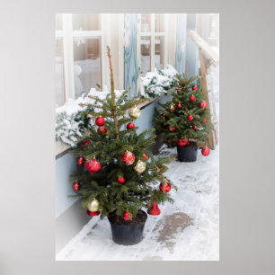 Verdroogde kerstbomen op straat. poster