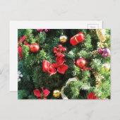 Verdroogde kerstboom feestdagenkaart (Voorkant / Achterkant)