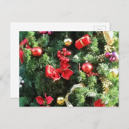 Verdroogde kerstboom feestdagenkaart (Voorkant / Achterkant)