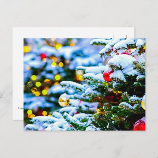 Verdroogde kerstboom, sneeuw, licht briefkaart (Voorkant / Achterkant)