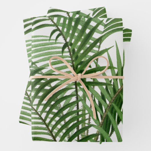 Verdure tropicale Aquarelle Palm Tree Feuilles (En situation)