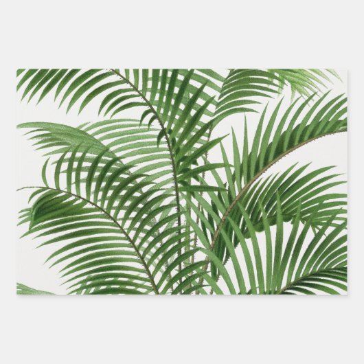 Verdure tropicale Aquarelle Palm Tree Feuilles (Devant)