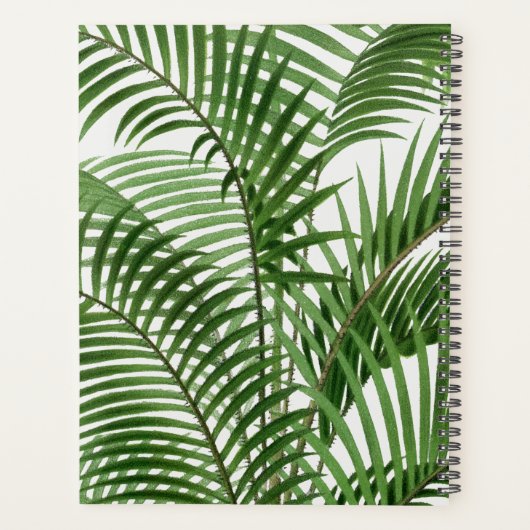 Verdure tropicale Aquarelle Palmier Monogramme (Dos)