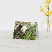 Vereis een Lift? Kaart (Gele Bloem)