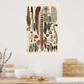  veren van Adolphe Millot Poster (Keuken)