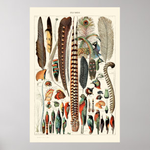 veren van Adolphe Millot Poster