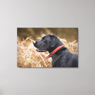 Verenigd Koninkrijk, Engeland, Suffolk, Thetford F Canvas Afdruk