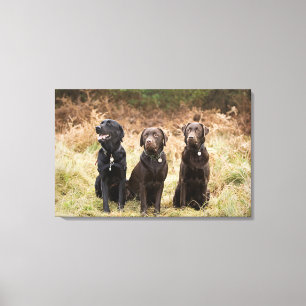 Verenigd Koninkrijk, Engeland, Suffolk, Thetford F Canvas Afdruk
