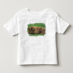 Verenigd Koninkrijk, Schotland. Hooglandkalf Kinder Shirts