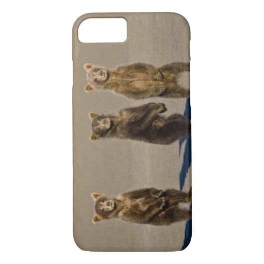 Verenigde Staten. Alaska. Kust Bruin Beer welpen Case-Mate iPhone Case (Achterkant)