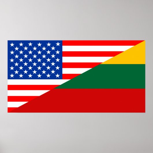 verenigde staten - amerika litouwen halve vlag vsa poster (Voorkant)