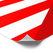 verenigde staten - amerika litouwen halve vlag vsa poster (Hoek)