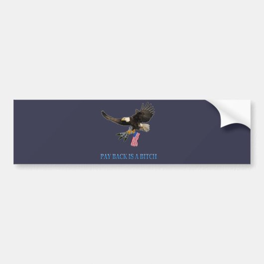 Verenigde Staten Bumpersticker (Voorkant)