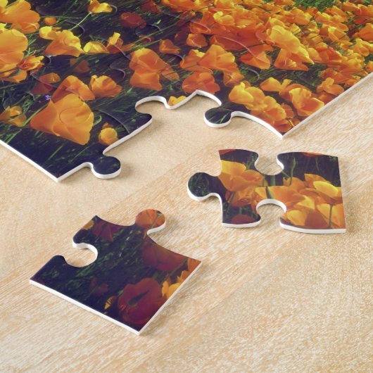 Verenigde Staten, Californië, het meer van Elsinor Legpuzzel (Zijkant)