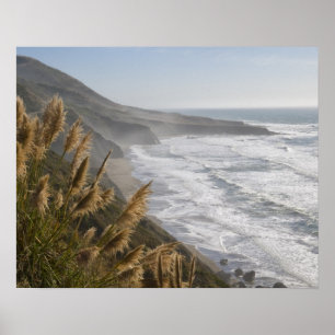Verenigde Staten, Californië, Mendocino-kust Poster