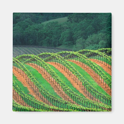 Verenigde Staten, Californië, provincie Mendocino, Magneet (Voorkant)