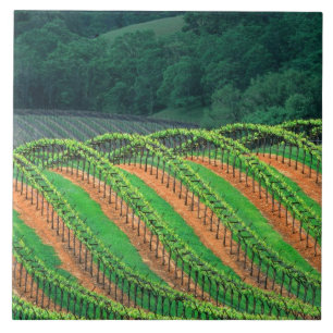 Verenigde Staten, Californië, provincie Mendocino Tegeltje