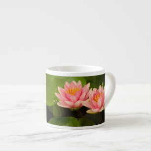 Verenigde Staten, DC, Washington, Kenilworth 4 Espresso Kop