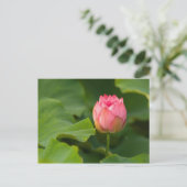 Verenigde Staten, DC, Washington, Kenilworth Briefkaart (Staand voorkant)